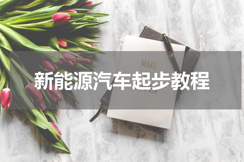 新能源汽车起步教程