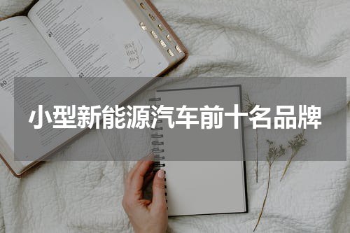 小型新能源汽车前十名品牌