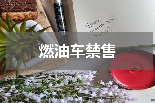 燃油车禁售