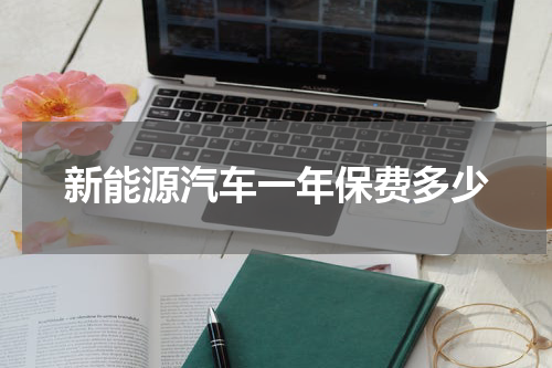 新能源汽车一年保费多少
