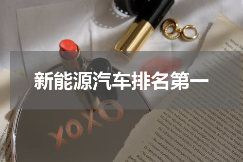 新能源汽车排名第一