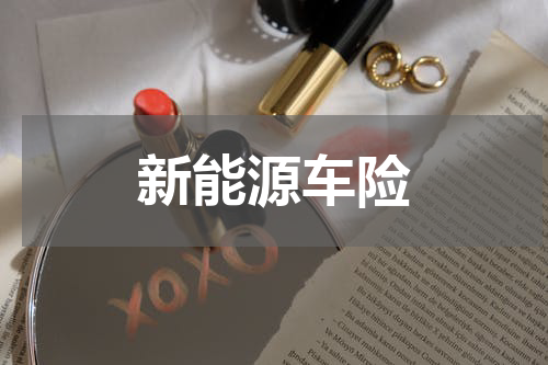 新能源车险