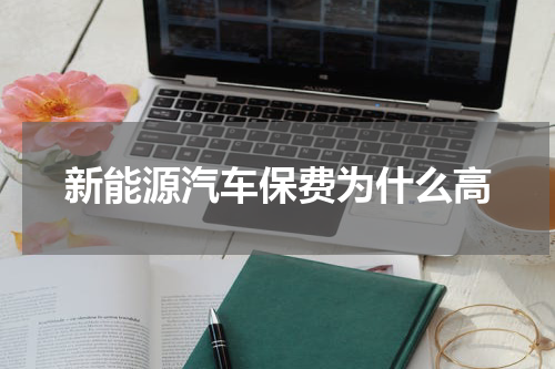 新能源汽车保费为什么高