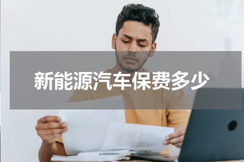 新能源汽车保费多少