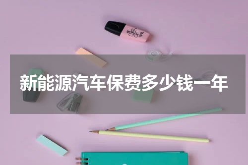 新能源汽车保费多少钱一年