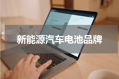 新能源汽车电池品牌