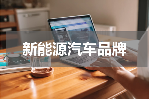 新能源汽车品牌