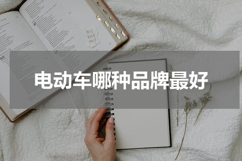 电动车哪种品牌最好