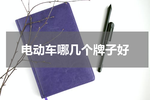 电动车哪几个牌子好