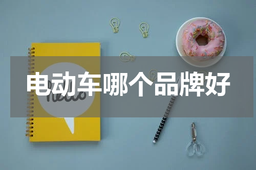 电动车哪个品牌好
