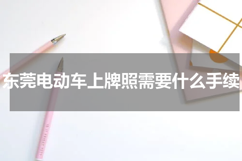 东莞电动车上牌照需要什么手续