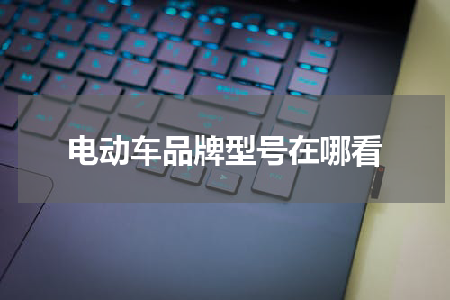 电动车品牌型号在哪看