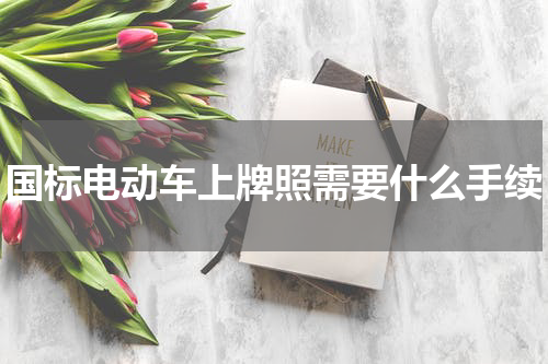 国标电动车上牌照需要什么手续