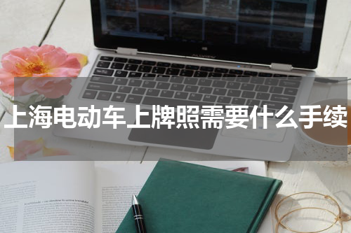 上海电动车上牌照需要什么手续