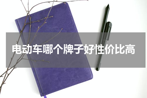 电动车哪个牌子好性价比高
