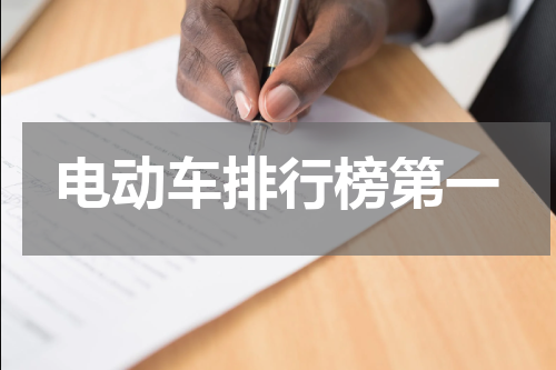 电动车排行榜第一