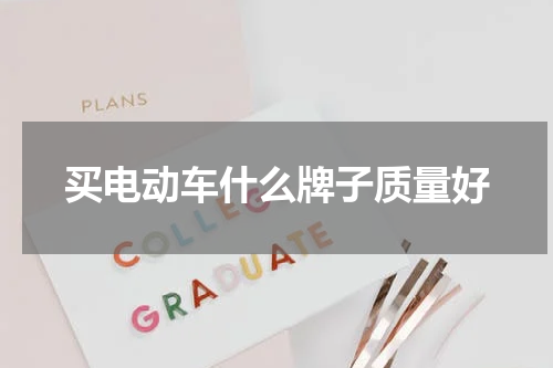 买电动车什么牌子质量好