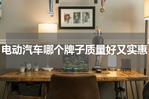电动汽车哪个牌子质量好又实惠