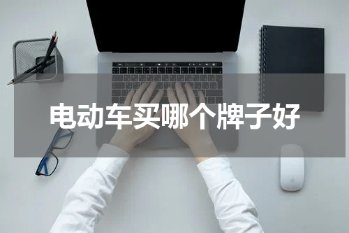 电动车买哪个牌子好