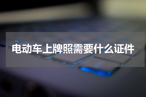 电动车上牌照需要什么证件