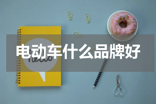 电动车什么品牌好