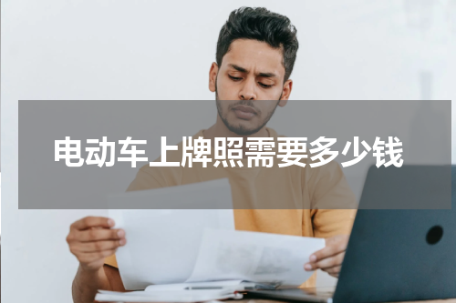 电动车上牌照需要多少钱