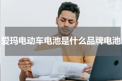 爱玛电动车电池是什么品牌电池