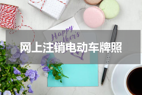网上注销电动车牌照
