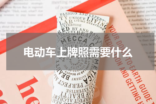 电动车上牌照需要什么