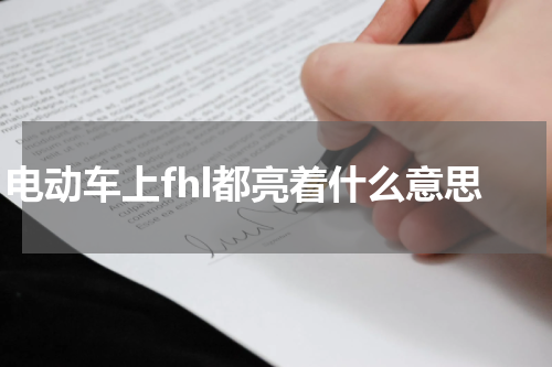 电动车上fhl都亮着什么意思