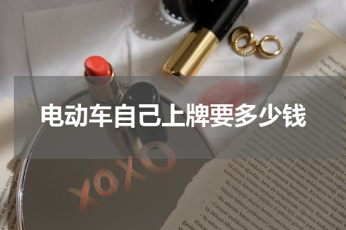 电动车自己上牌要多少钱