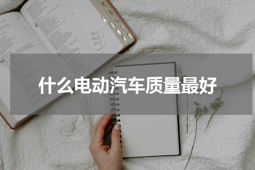 什么电动汽车质量最好