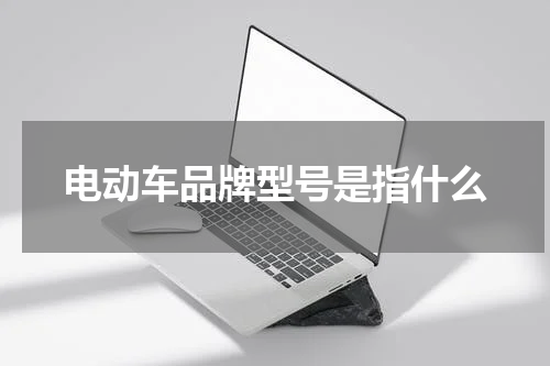 电动车品牌型号是指什么