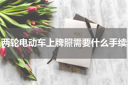 两轮电动车上牌照需要什么手续