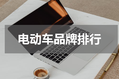 电动车品牌排行
