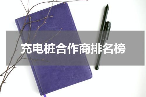 充电桩合作商排名榜