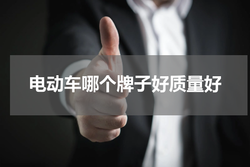 电动车哪个牌子好质量好
