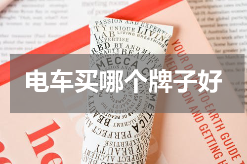 电车买哪个牌子好