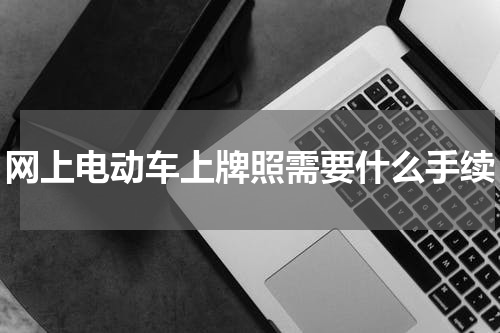 网上电动车上牌照需要什么手续