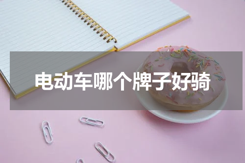 电动车哪个牌子好骑