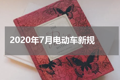 2020年7月电动车新规