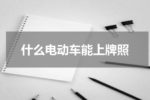 什么电动车能上牌照