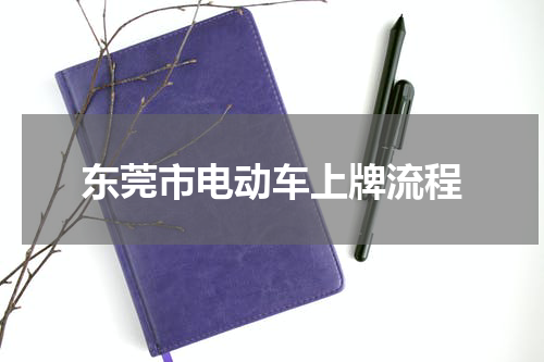东莞市电动车上牌流程