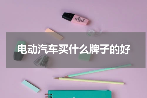 电动汽车买什么牌子的好
