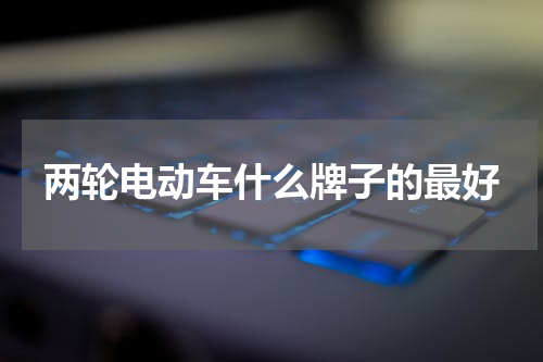 两轮电动车什么牌子的最好