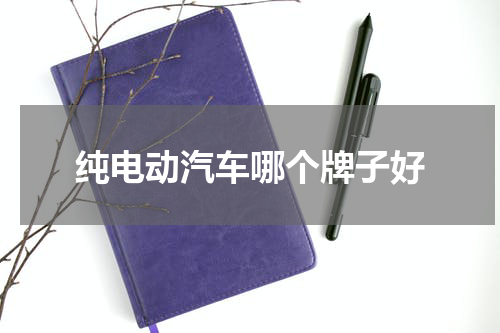 纯电动汽车哪个牌子好