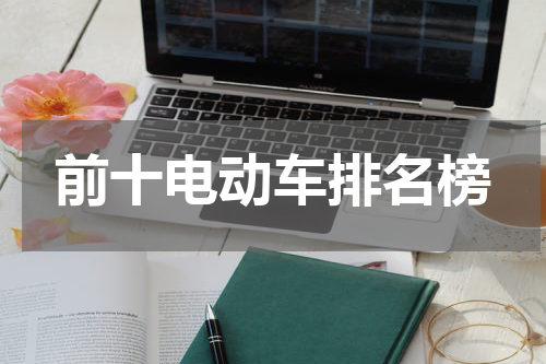 前十电动车排名榜