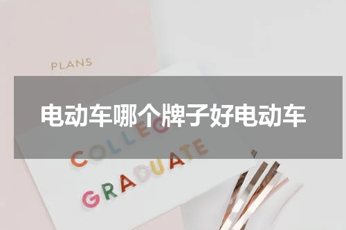 电动车哪个牌子好电动车