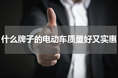 什么牌子的电动车质量好又实惠