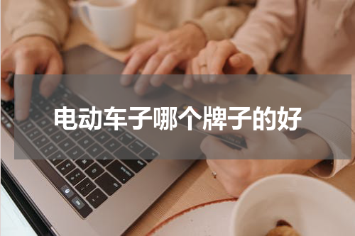 电动车子哪个牌子的好
